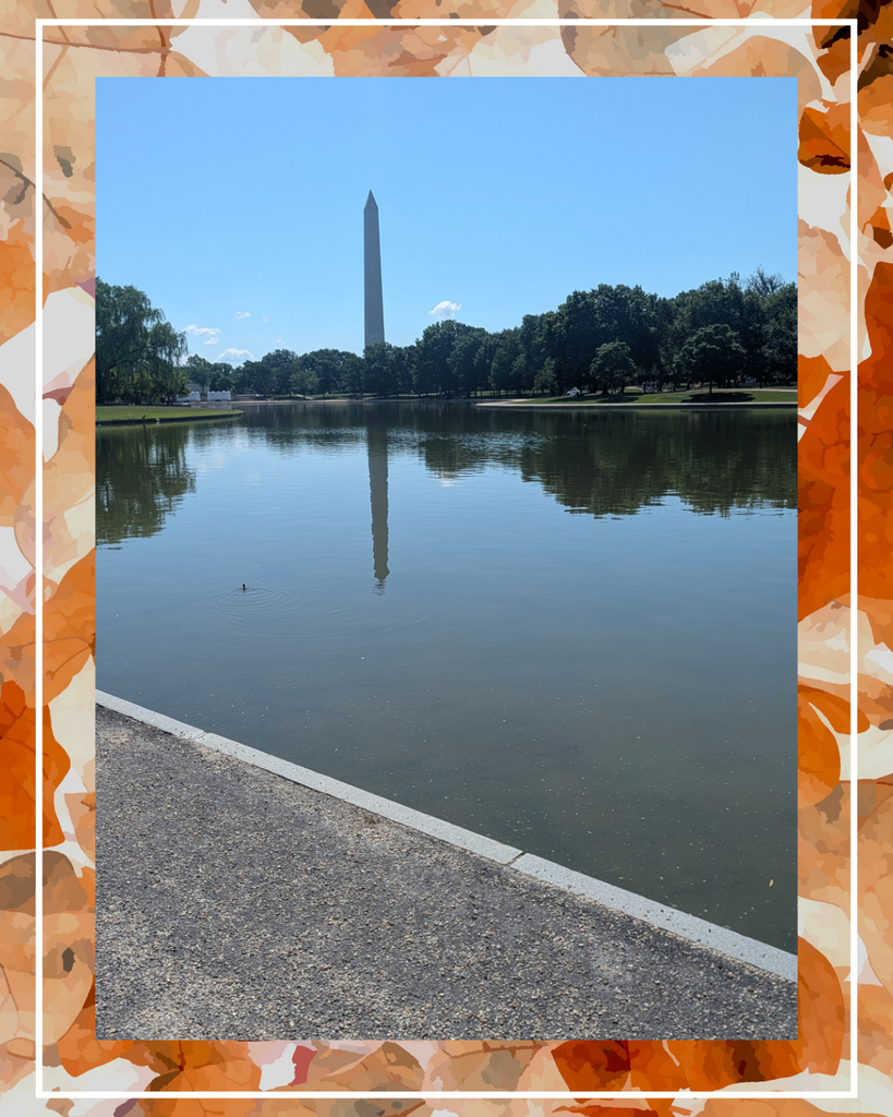 DC