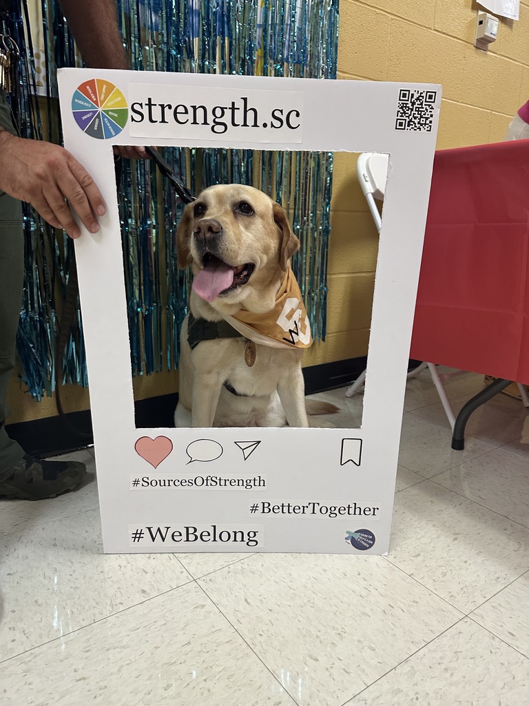 k9 wren