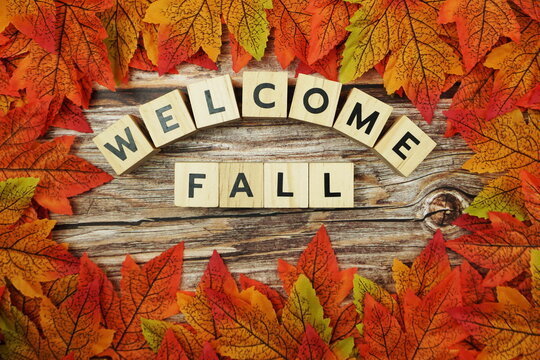 fall