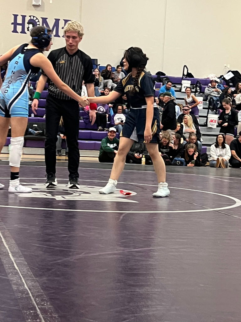 Wrestling Photo