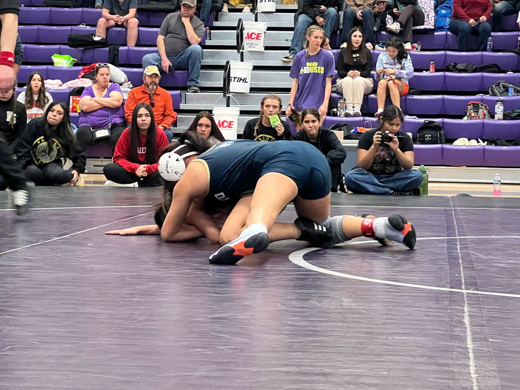 Wrestling Photo