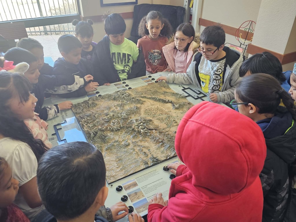 K-2 Library Topography