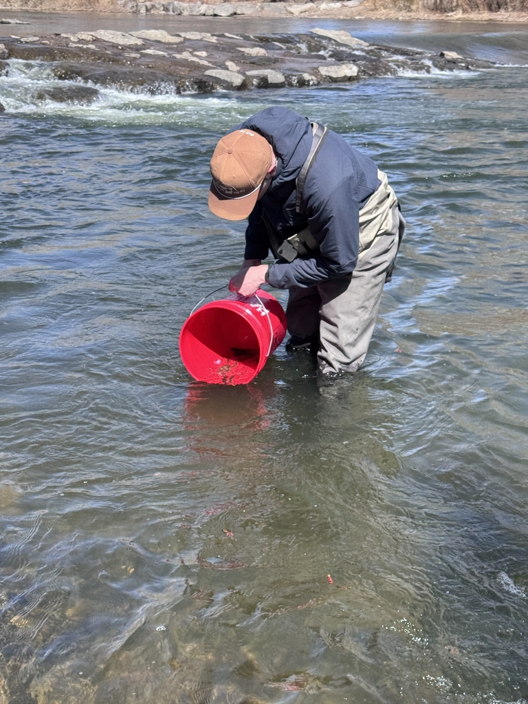 Photo: Trout Release