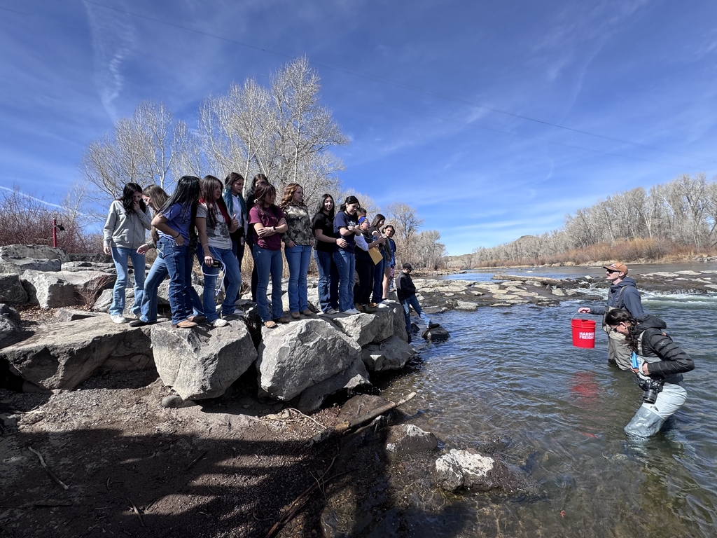 Photo: Trout Release