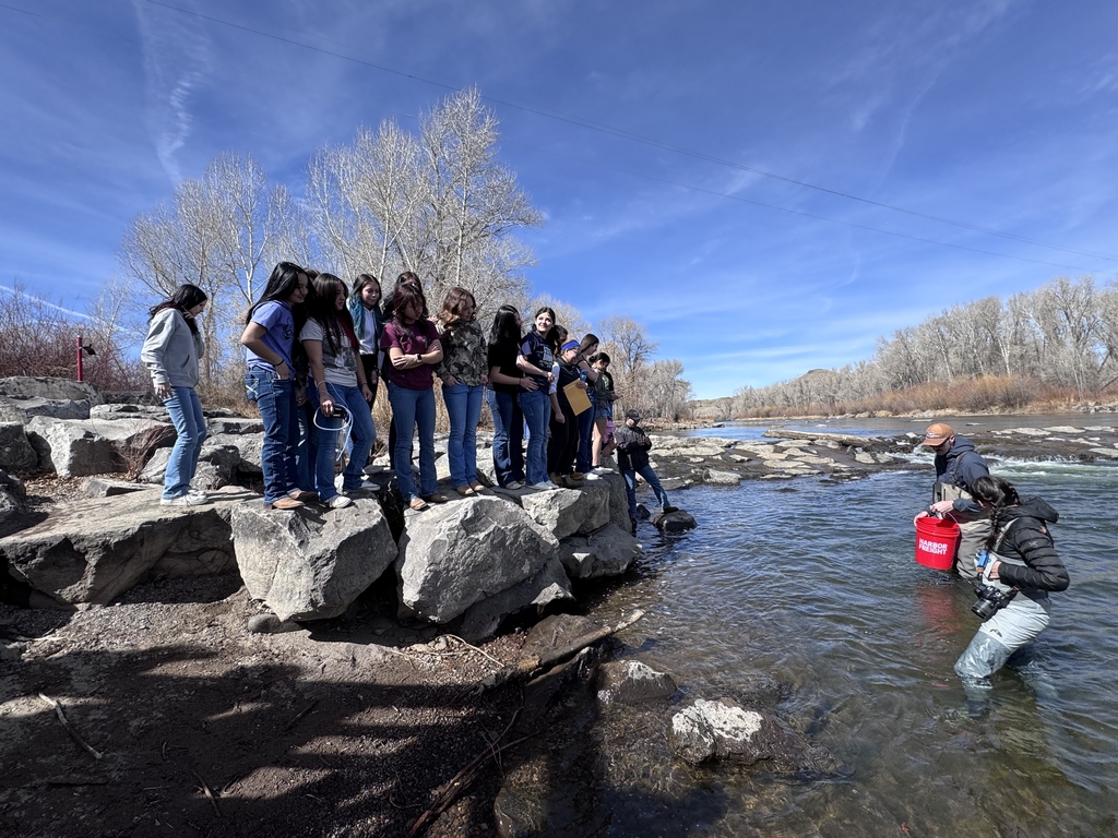 Photo: Trout Release