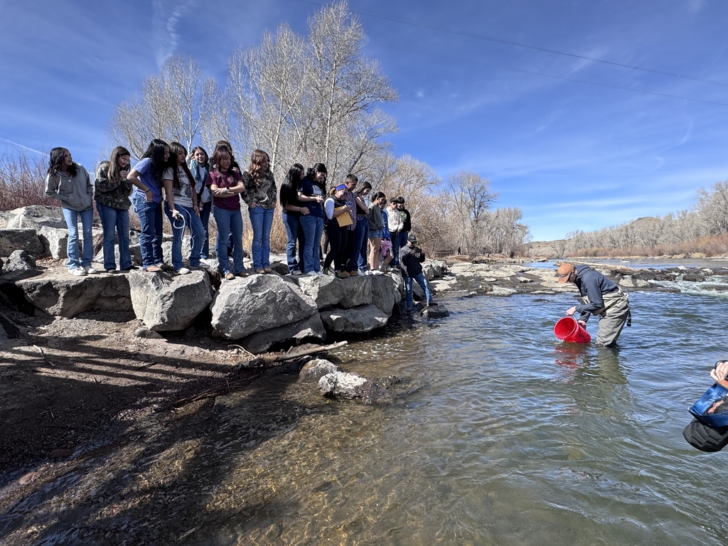 Photo: Trout Release