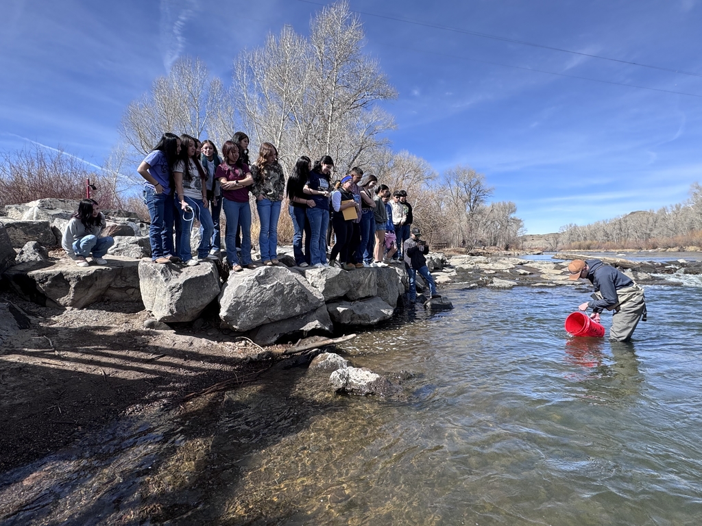 Photo: Trout Release