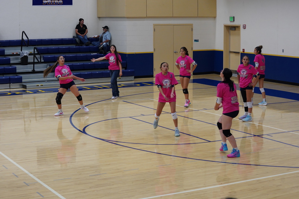 Photo: Antonito HS Volleyball vs. Centennial Rams