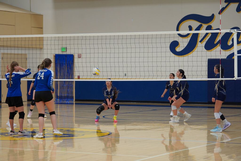 Photo: Homecoming Volleyball Game