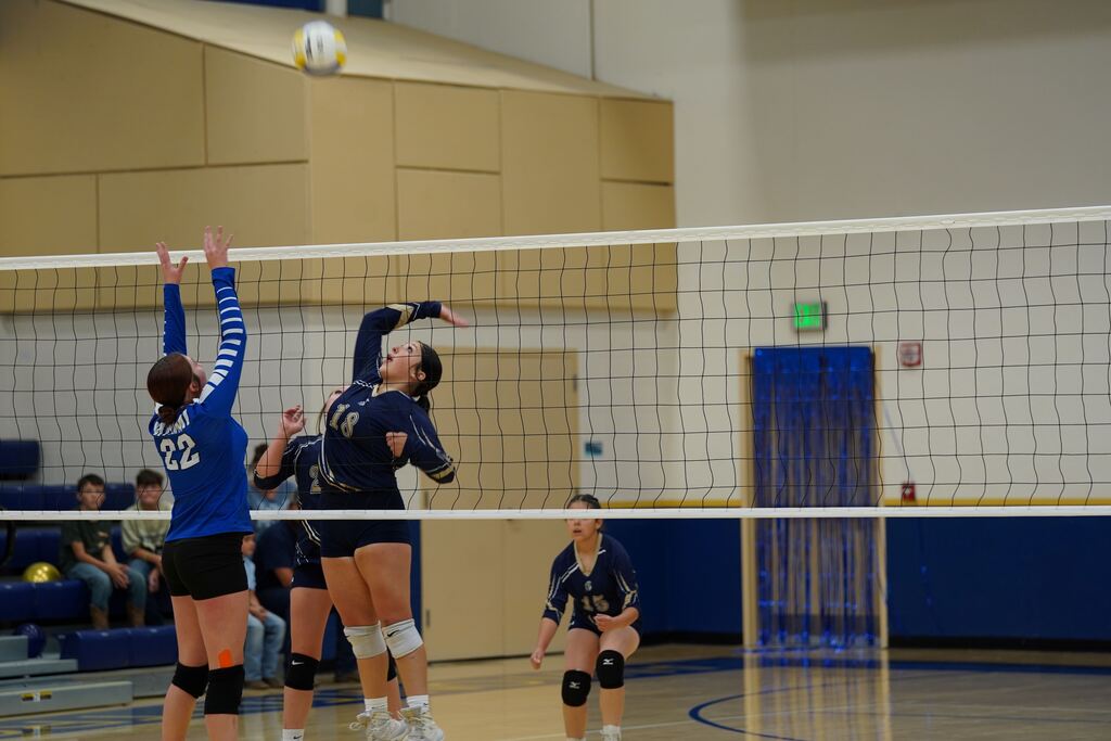 Photo: Homecoming Volleyball Game