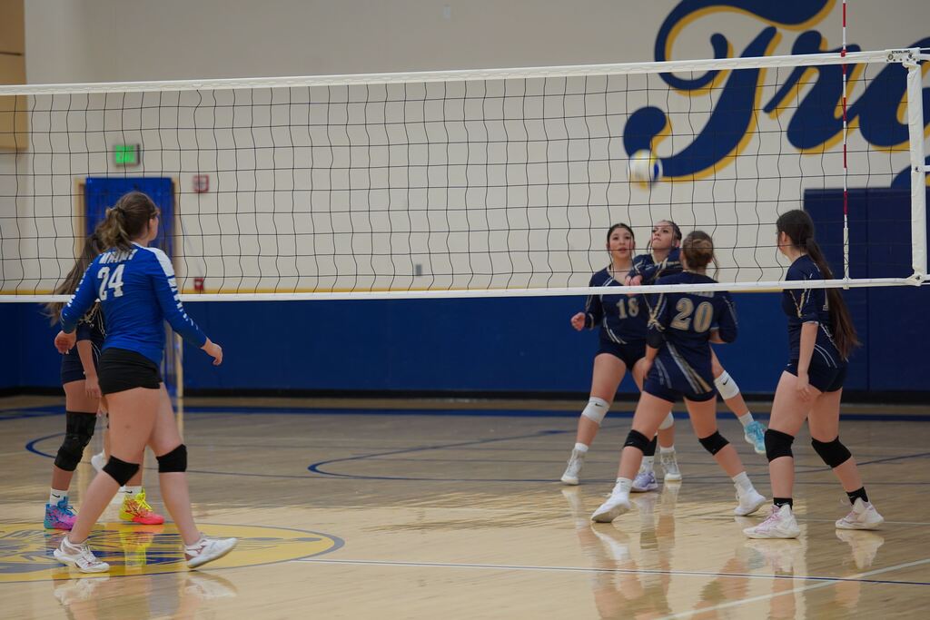 Photo: Homecoming Volleyball Game