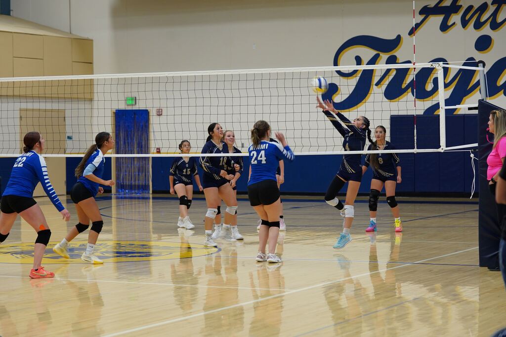 Photo: Homecoming Volleyball Game