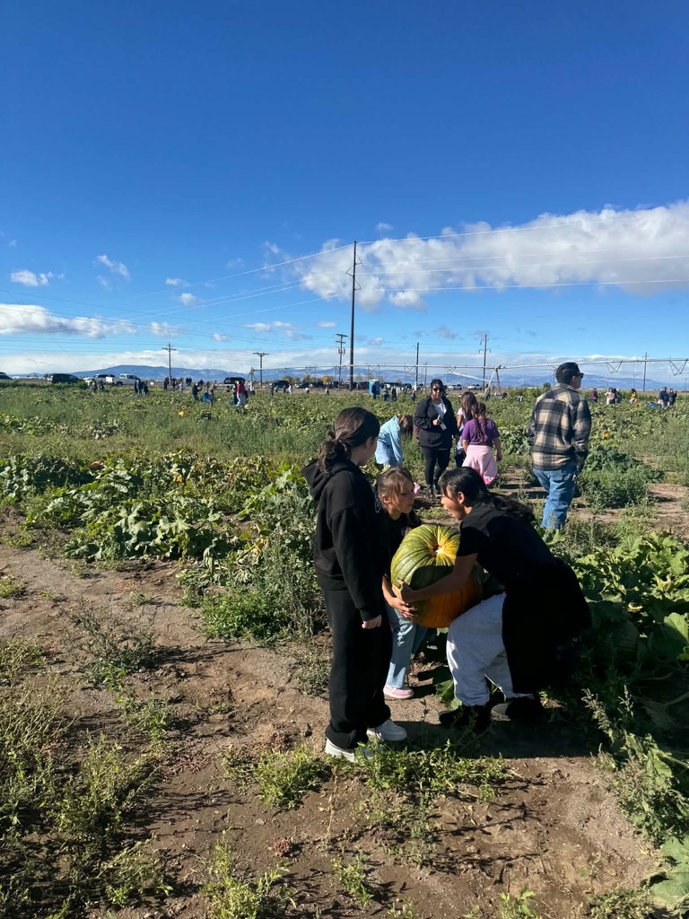 Photo: Pumpkin Patch Field Trip - Students picking out pumpkins to take home!