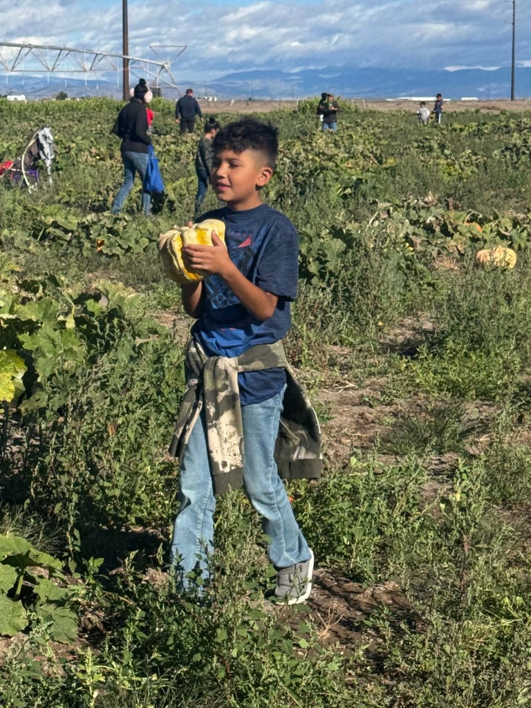 Photo: Pumpkin Patch Field Trip - Students picking out pumpkins to take home!