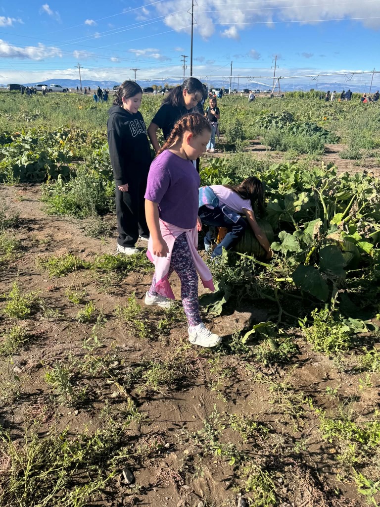 Photo: Pumpkin Patch Field Trip - Students picking out pumpkins to take home!