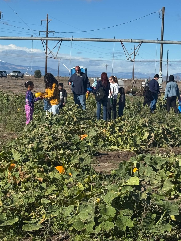 Photo: Pumpkin Patch Field Trip - Students picking out pumpkins to take home!