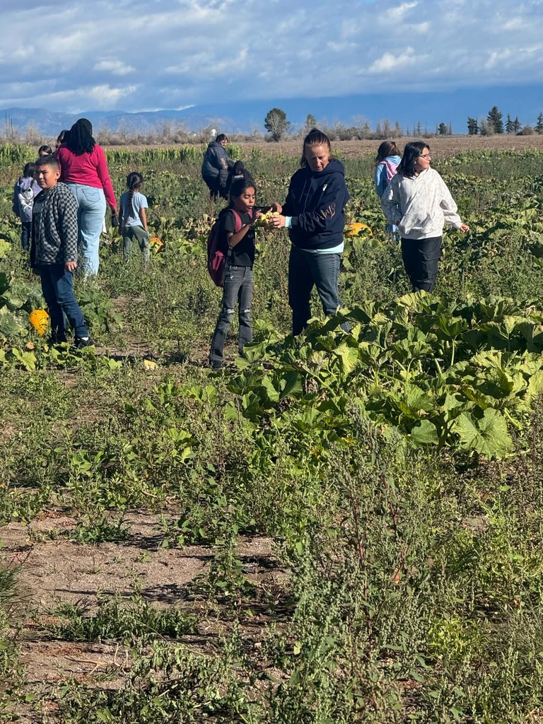 Photo: Pumpkin Patch Field Trip - Students picking out pumpkins to take home!