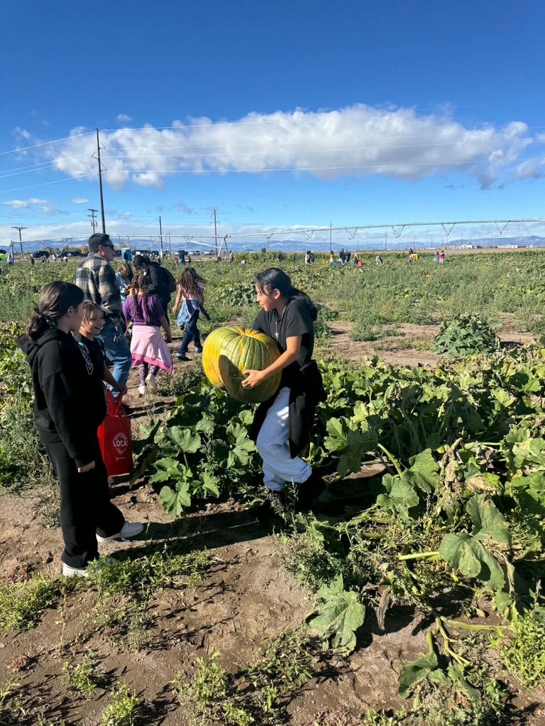 Photo: Pumpkin Patch Field Trip - Students picking out pumpkins to take home!