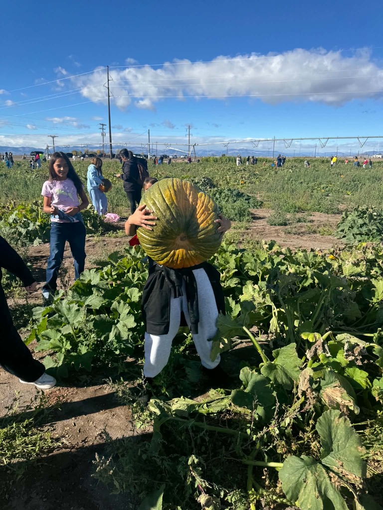 Photo: Pumpkin Patch Field Trip - Students picking out pumpkins to take home!