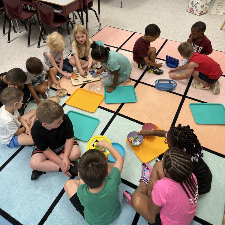 Learning on the carpet