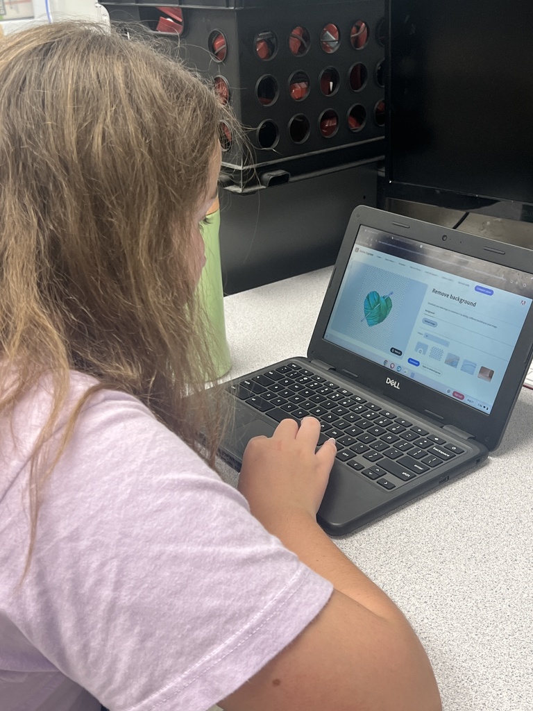 Mrs. Edward's student at her computer working.