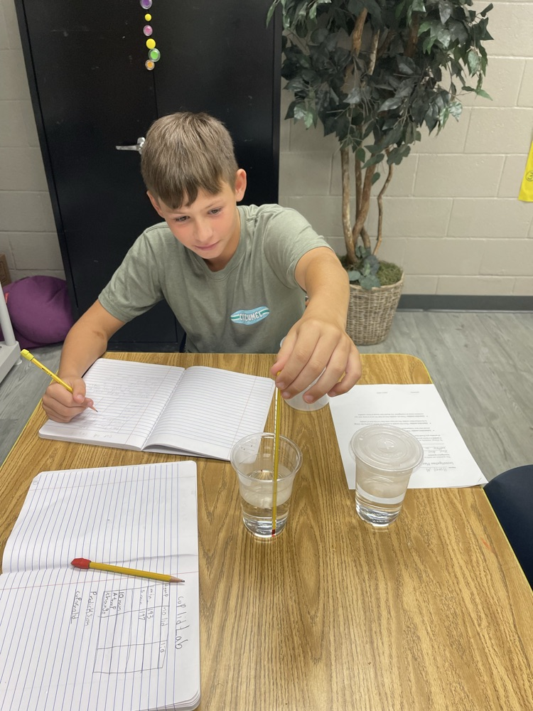 6th grade science