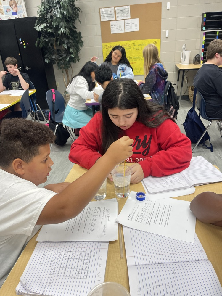 6th grade science