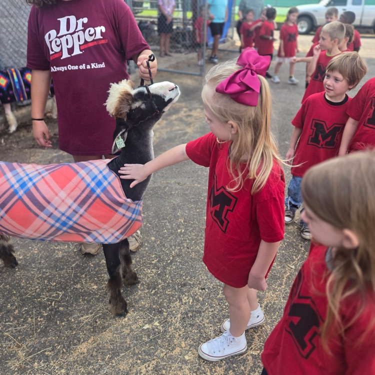 children at the fair