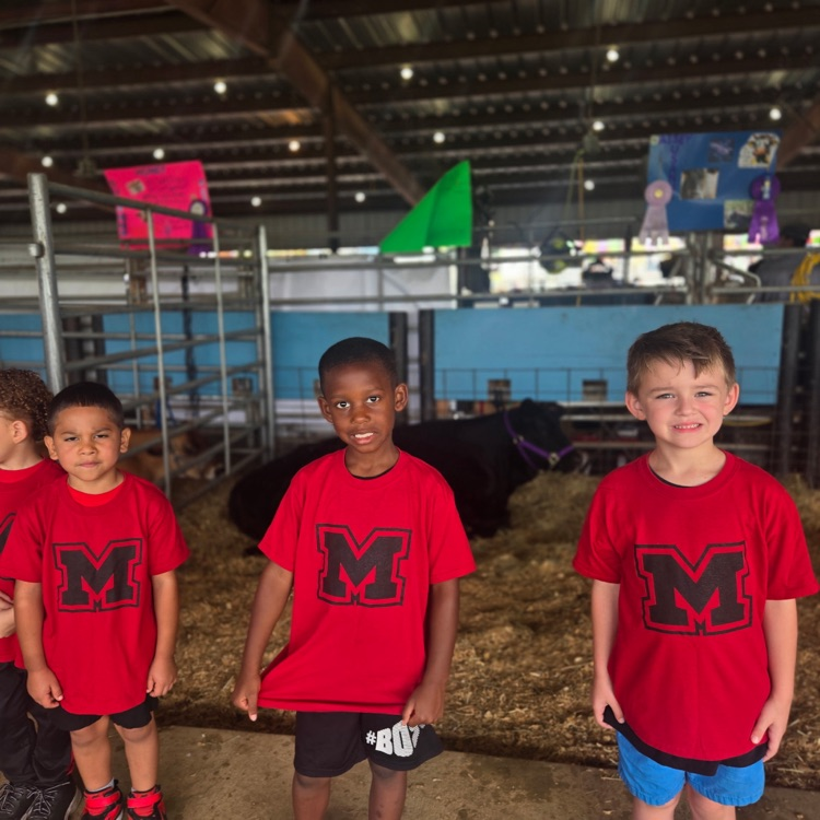 children at the fair