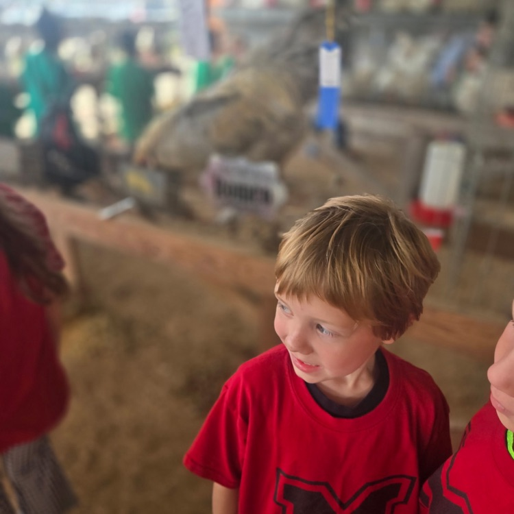 children at the fair
