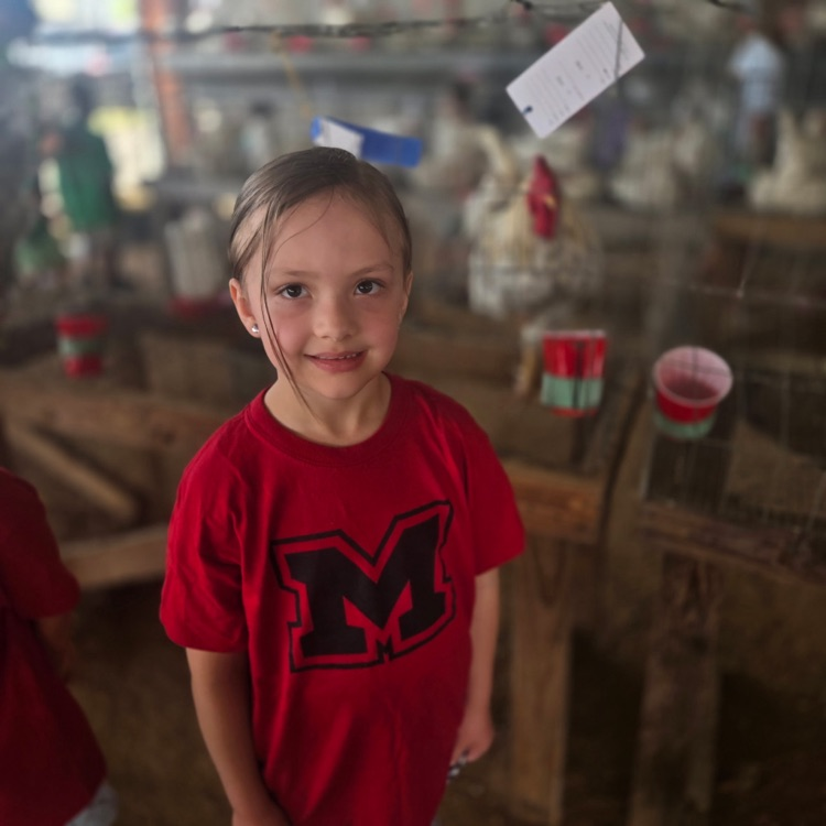 children at the fair