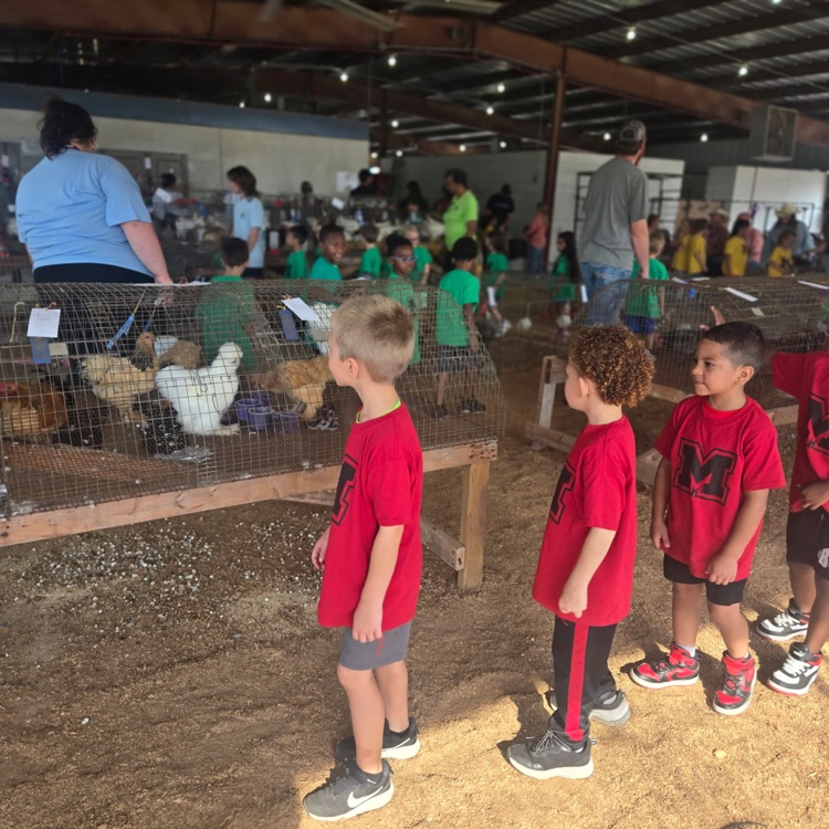 children at the fair