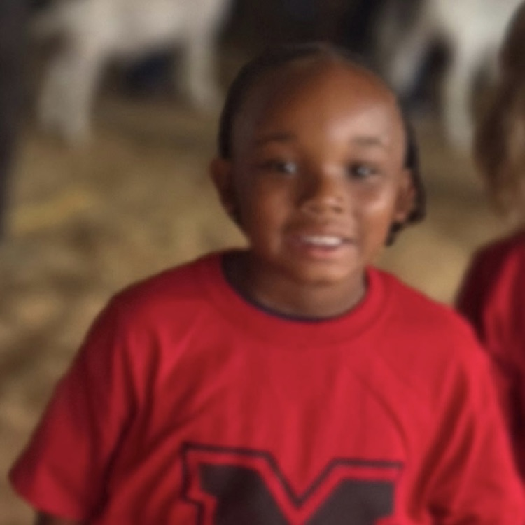 child at the fair