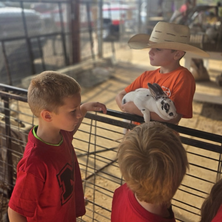 children at the fair
