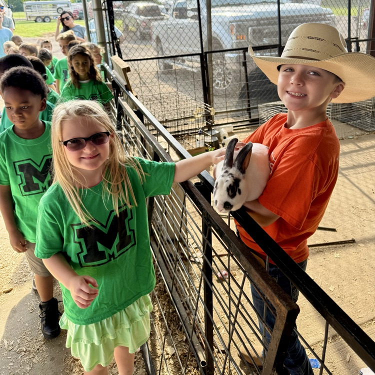 children petting a rabbit