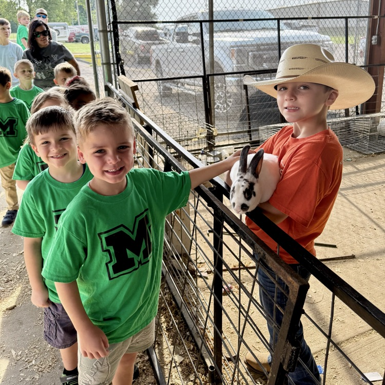 children at the fair