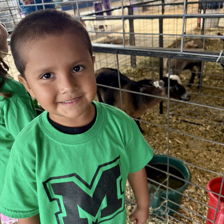 child at the fair