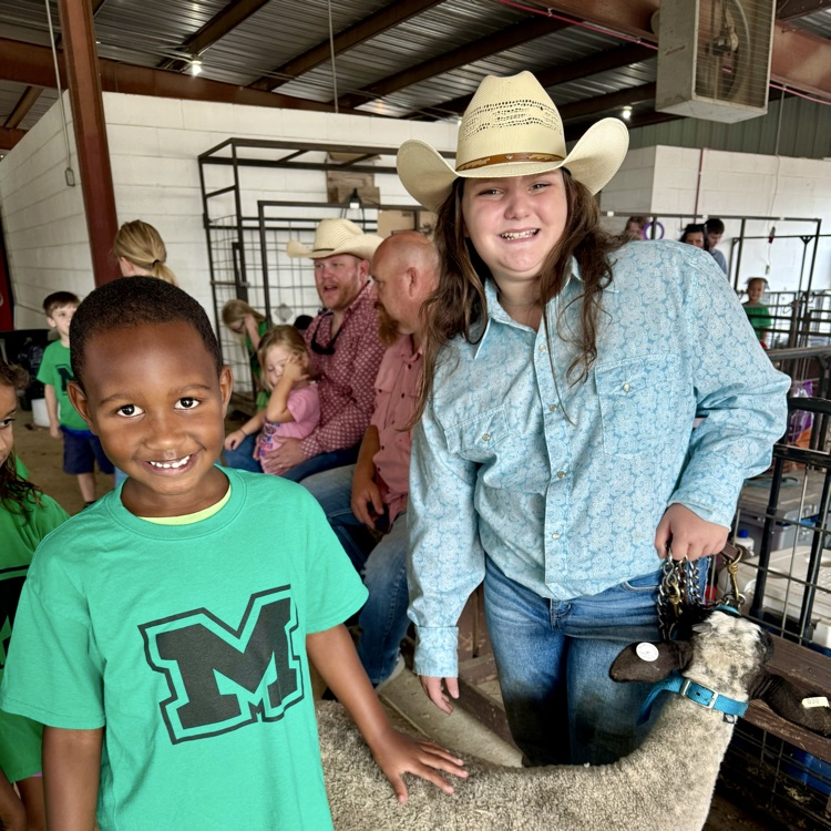 child petting an animal