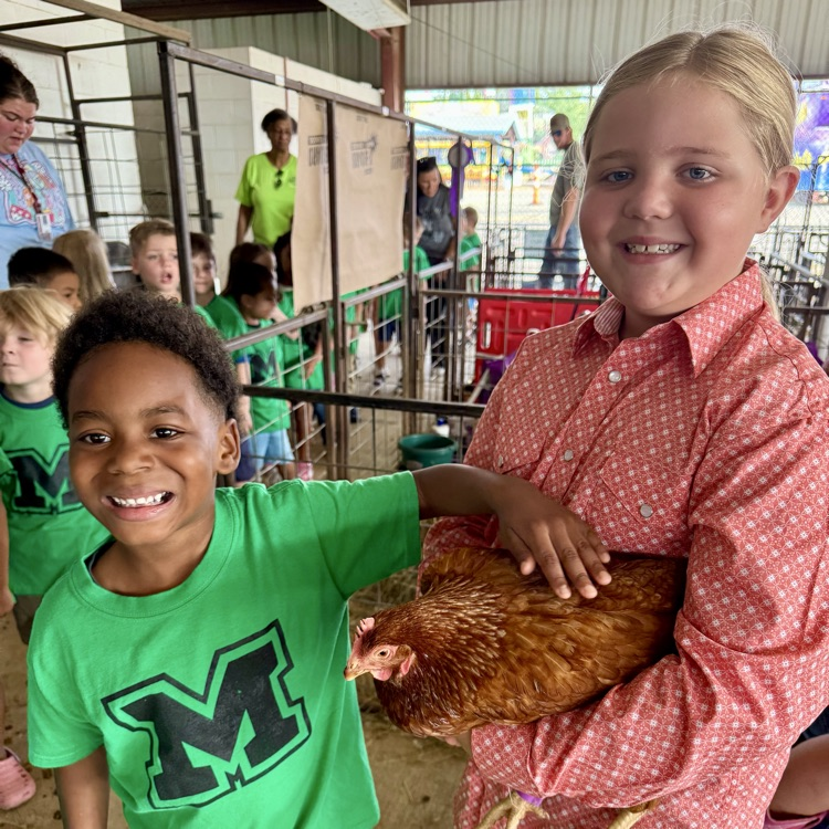 child petting an animal