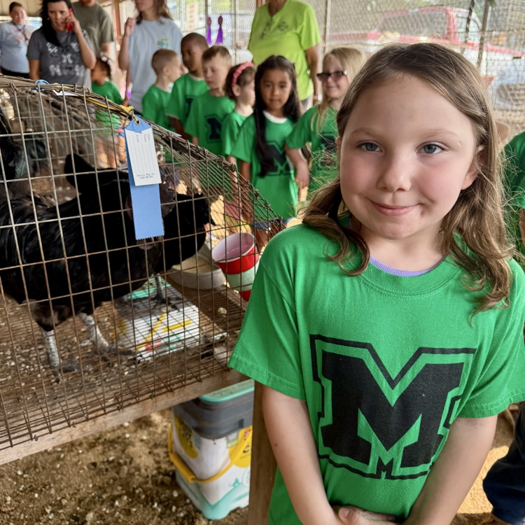 child at the fair 