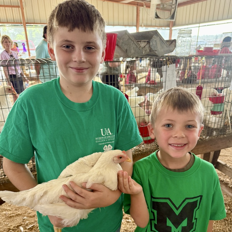 children at the fair