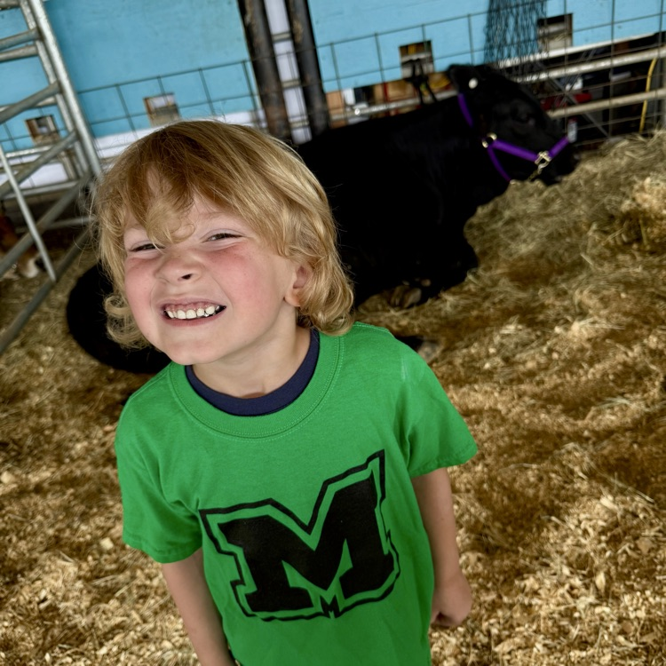 child at the fair