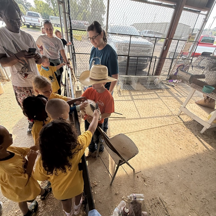 students seeing the animals 