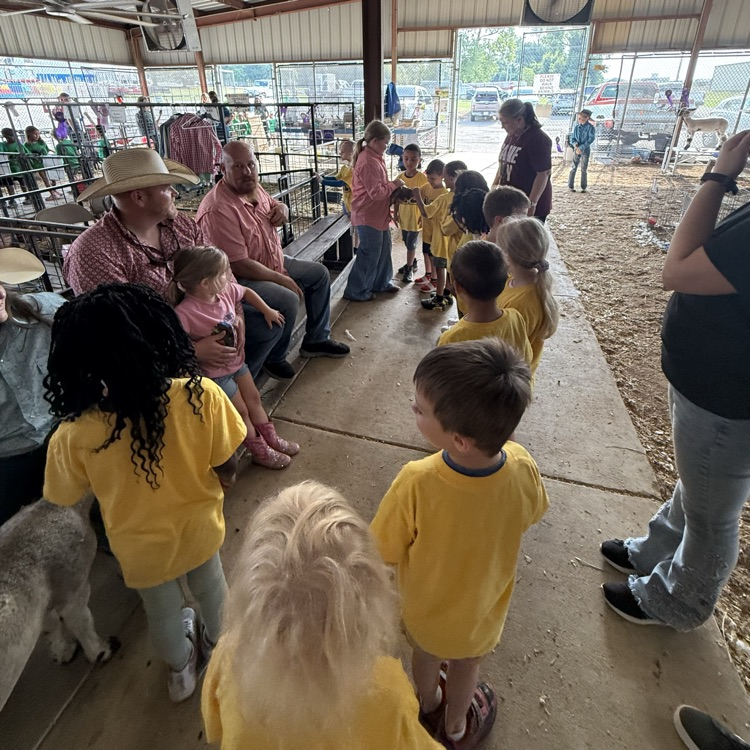students seeing the animals