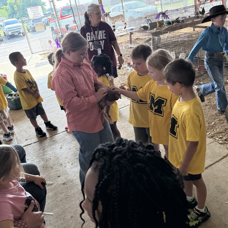 students seeing the animals