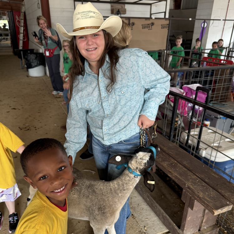 students seeing the animals 