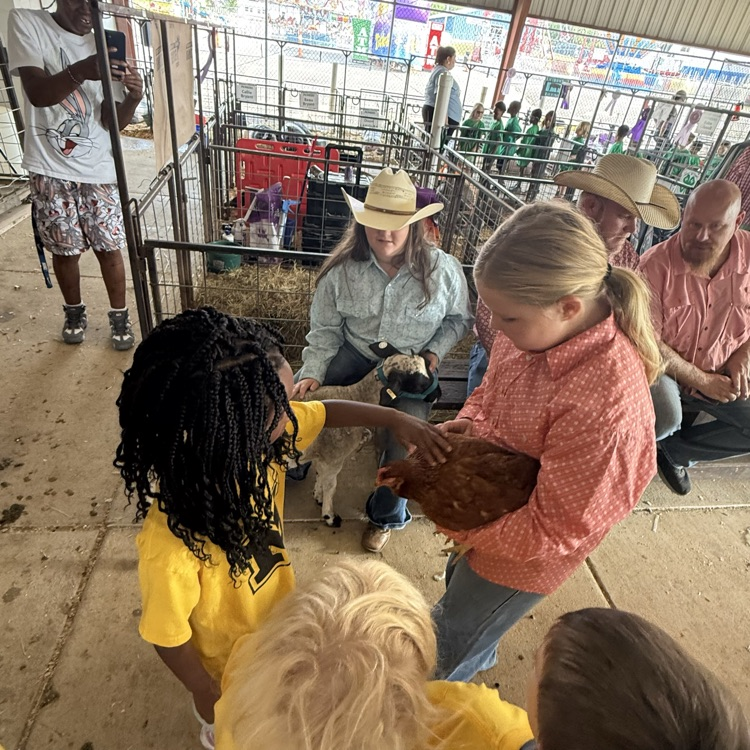 students seeing the animals 