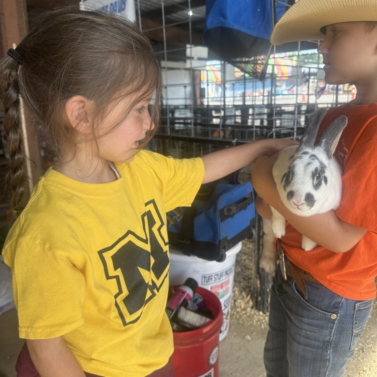 children with an animal