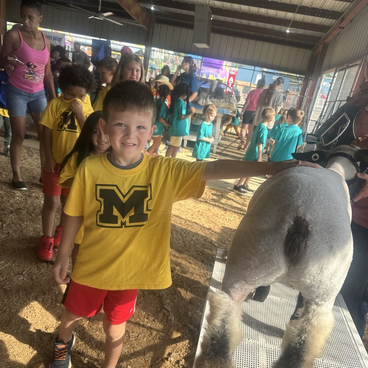 children at the fair