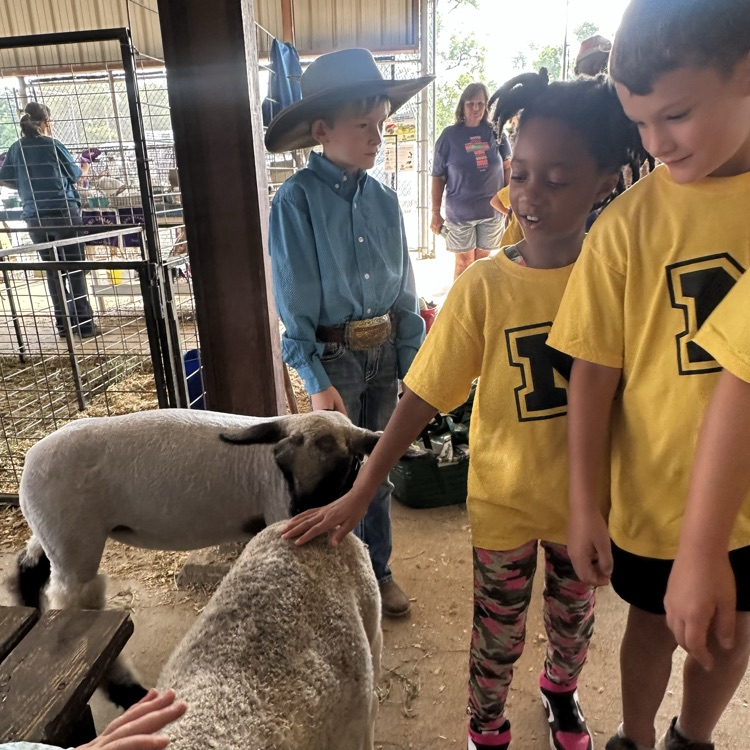 children at the fair